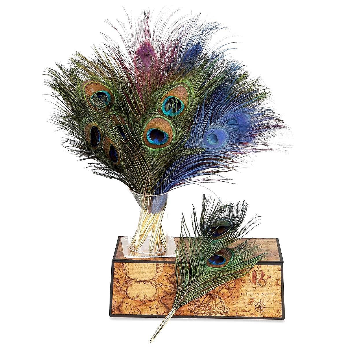 Genuine Peacock Quill Pen-Nib and Ballpoint